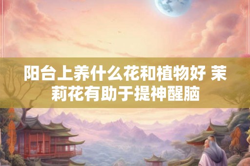阳台上养什么花和植物好 茉莉花有助于提神醒脑