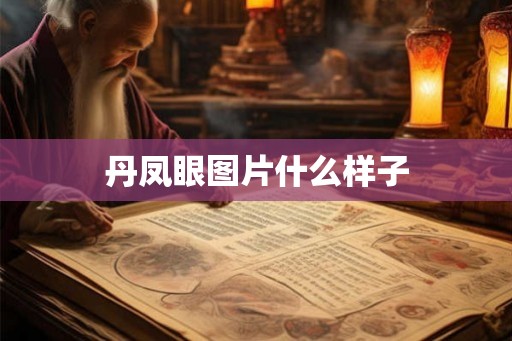 丹凤眼图片什么样子 丹凤眼图片什么样子