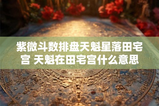 紫微斗数排盘天魁星落田宅宫 天魁在田宅宫什么意思
