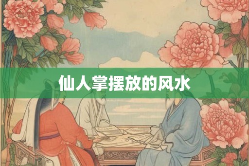仙人掌摆放的风水