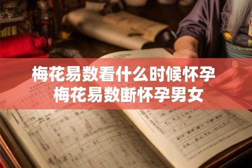 梅花易数看什么时候怀孕 梅花易数断怀孕男女 梅花易数看什么时候怀孕 梅花易数断怀孕男女
