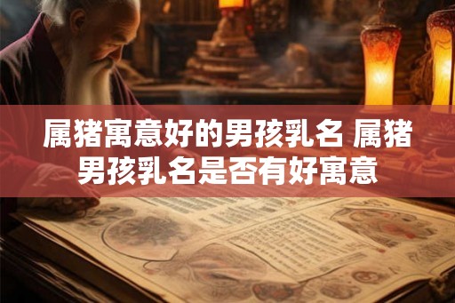 属猪寓意好的男孩乳名 属猪男孩乳名是否有好寓意