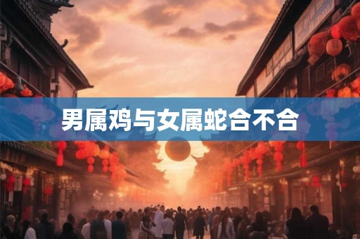 男属鸡与女属蛇合不合
