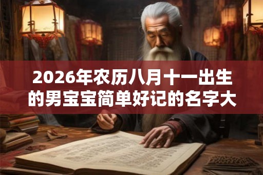 2026年农历八月十一出生的男宝宝简单好记的名字大全