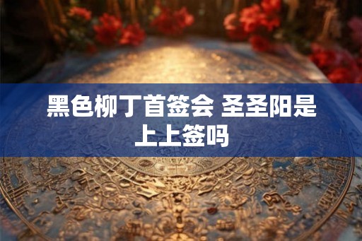 黑色柳丁首签会 圣圣阳是上上签吗