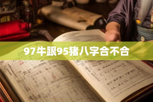 97牛跟95猪八字合不合