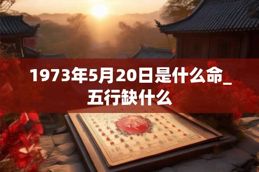 1973年5月20日是什么命_五行缺什么