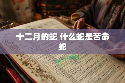 十二月的蛇 什么蛇是苦命蛇