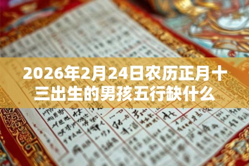 2026年2月24日农历正月十三出生的男孩五行缺什么