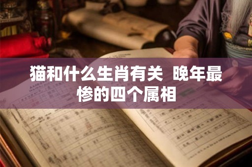 猫和什么生肖有关  晚年最惨的四个属相