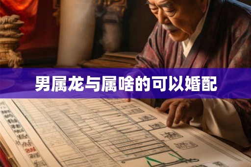 男属龙与属啥的可以婚配