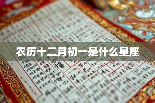 农历十二月初一是什么星座