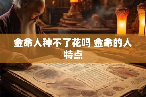 金命人种不了花吗 金命的人特点