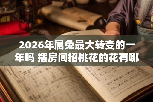 2026年属兔最大转变的一年吗 摆房间招桃花的花有哪些