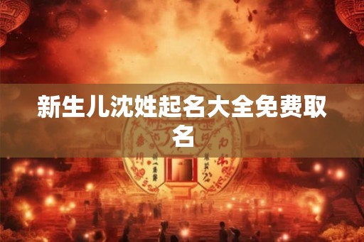 新生儿沈姓起名大全免费取名