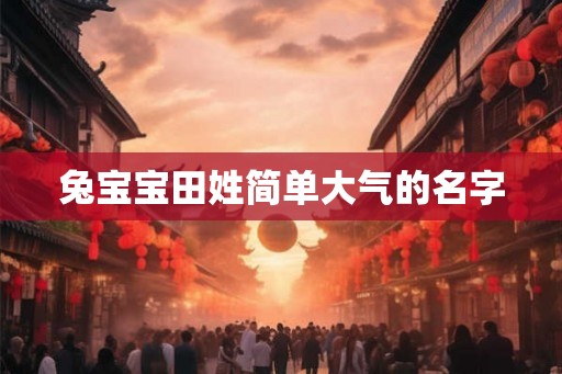 兔宝宝田姓简单大气的名字