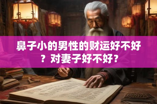 鼻子小的男性的财运好不好?对妻子好不好? 鼻子小的男性的财运好不好?对妻子好不好?