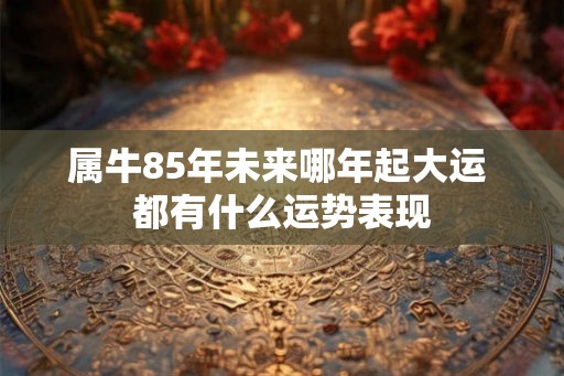 属牛85年未来哪年起大运 都有什么运势表现