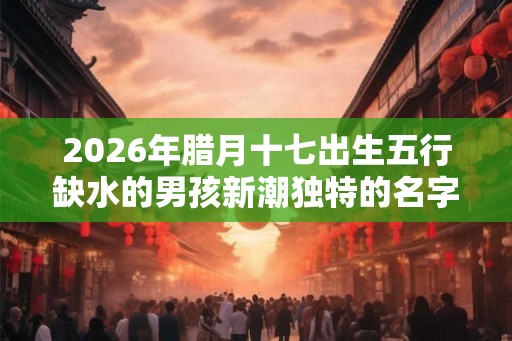 2026年腊月十七出生五行缺水的男孩新潮独特的名字