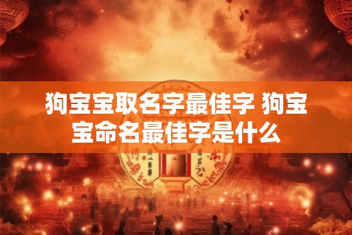 狗宝宝取名字最佳字 狗宝宝命名最佳字是什么