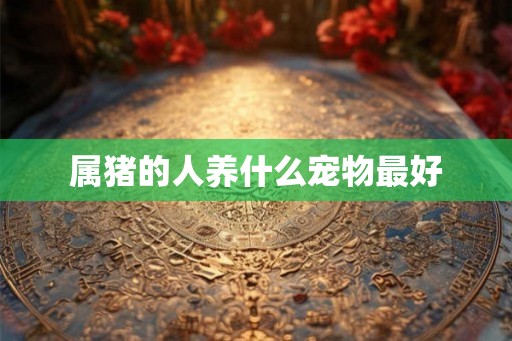 属猪的人养什么宠物最好 属猪的人养什么宠物最好