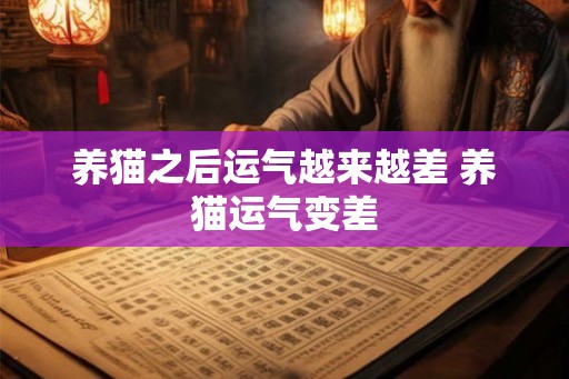 养猫之后运气越来越差 养猫运气变差 养猫之后运气越来越差 养猫运气变差