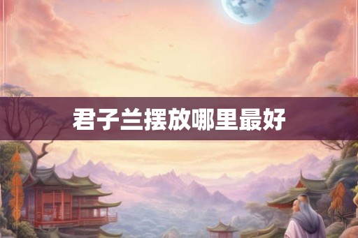 君子兰摆放哪里最好