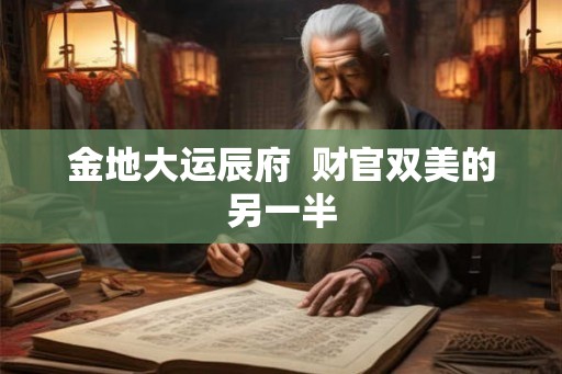 金地大运辰府  财官双美的另一半
