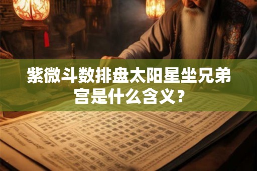 紫微斗数排盘太阳星坐兄弟宫是什么含义? 紫微斗数排盘太阳星坐兄弟宫是什么含义?