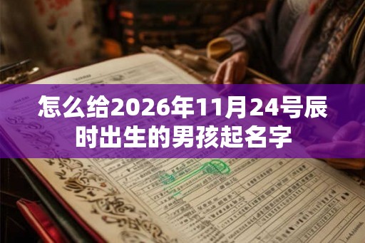 怎么给2026年11月24号辰时出生的男孩起名字