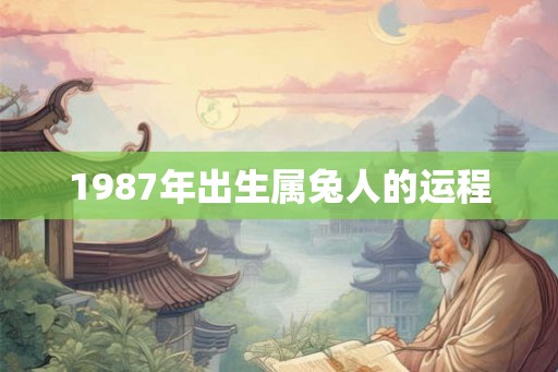 1987年出生属兔人的运程 1987年出生属兔人的运程