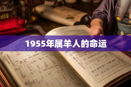 1955年属羊人的命运 1955年属羊人的命运