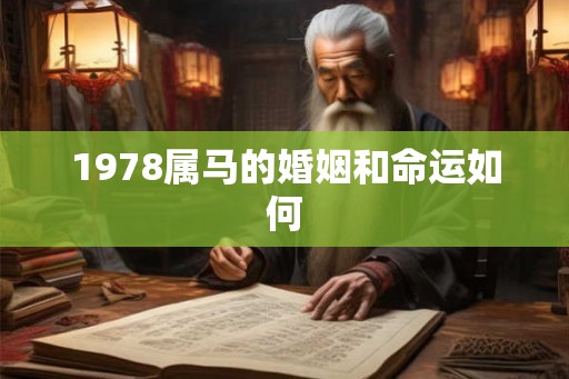 1978属马的婚姻和命运如何
