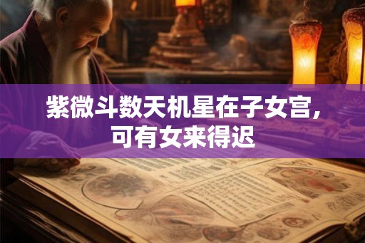 紫微斗数天机星在子女宫,可有女来得迟