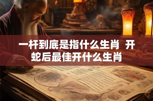 一杆到底是指什么生肖  开蛇后最佳开什么生肖