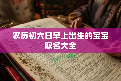 农历初六日早上出生的宝宝取名大全