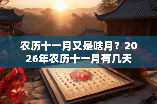 农历十一月又是啥月？2026年农历十一月有几天