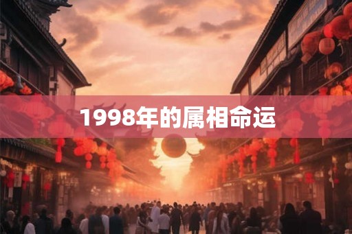 1998年的属相命运