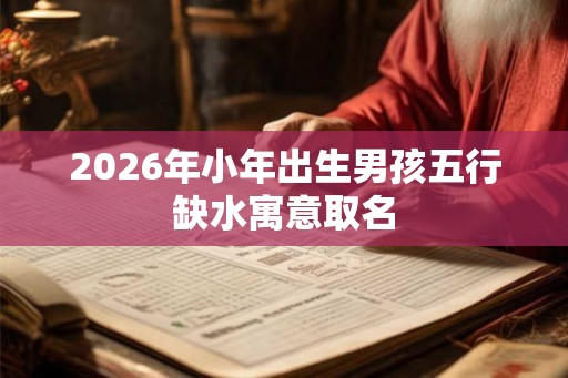 2026年小年出生男孩五行缺水寓意取名