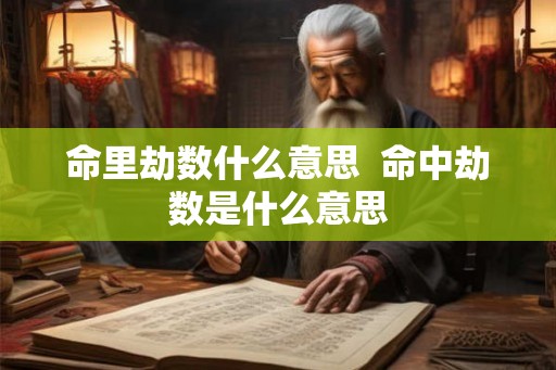 命里劫数什么意思  命中劫数是什么意思