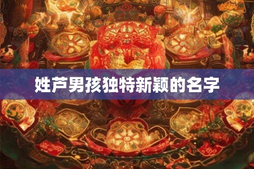 姓芦男孩独特新颖的名字 姓芦男孩独特新颖的名字