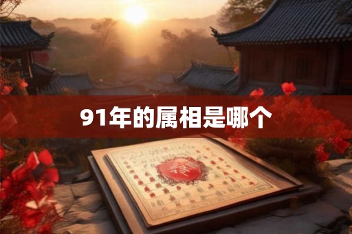 91年的属相是哪个