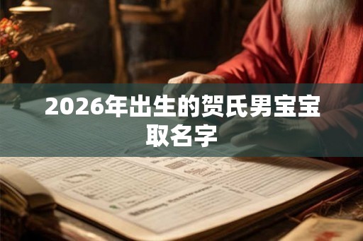 2026年出生的贺氏男宝宝取名字
