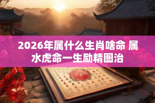 2026年属什么生肖啥命 属水虎命一生励精图治