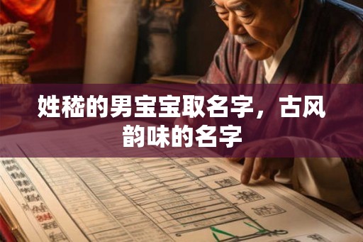 姓嵇的男宝宝取名字，古风韵味的名字