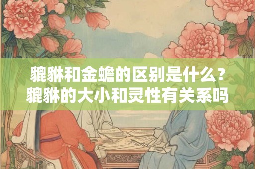 貔貅和金蟾的区别是什么？貔貅的大小和灵性有关系吗？