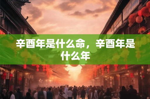 辛酉年是什么命，辛酉年是什么年