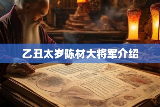 乙丑太岁陈材大将军介绍