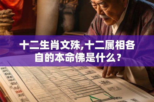 十二生肖文殊,十二属相各自的本命佛是什么？