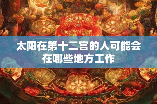 太阳在第十二宫的人可能会在哪些地方工作